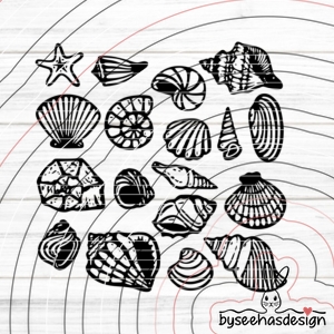 Muscheln Plotterdatei SVG DXF