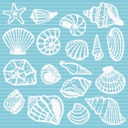 Muscheln Plotterdatei SVG DXF